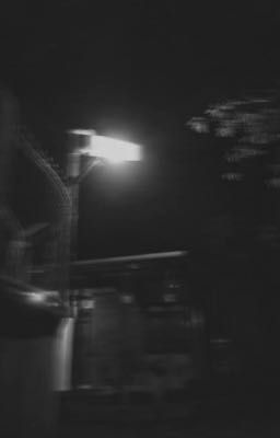 [ĐN Harry Potter] Yêu hay không yêu?✨