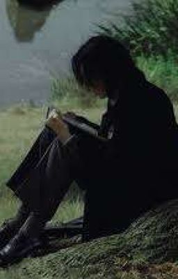 (ĐN HP - AllSev) Tình Yêu Và Độc Dược