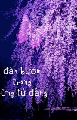 [ Dn Slime ] Đàn bướm trong rừng tử đằng.