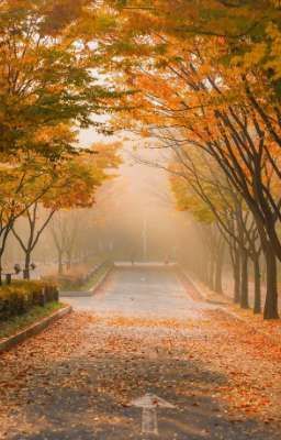 [ Đn Trò Chơi Trí Mệnh] Anh Em 