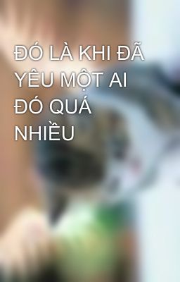 ĐÓ LÀ KHI ĐÃ YÊU MỘT AI ĐÓ QUÁ NHIỀU