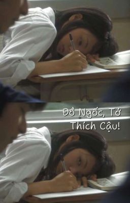 Đồ Ngốc, Tớ Thích Cậu!