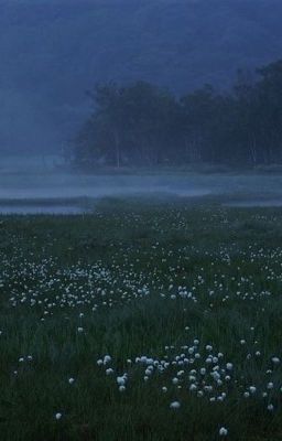 [ĐOẢN KNY]  Sự sống ngủ say 