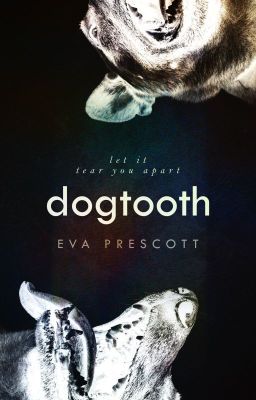 Dogtooth [Hockey RPF]