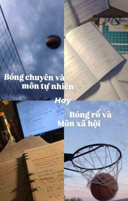Đội Bóng Rổ Và Bóng Chuyền Đánh Nhau Chx ?