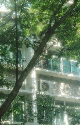 [DomicMasterD] Xuyên không tôi được nam chính cưng chiều 