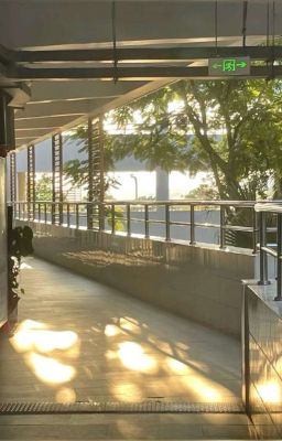 Đơn Phương Cậu