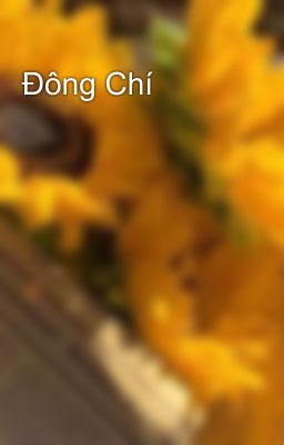 Đông Chí