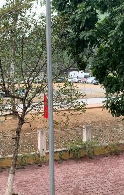 Đọng hạ trong tim