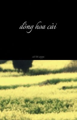 đồng hoa cải. [ lyhansara ]
