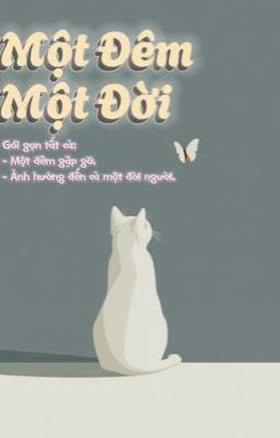 Doogem - Một Đêm Một Đời