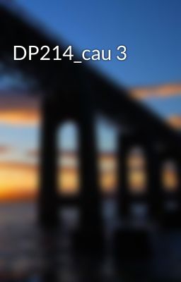 DP214_cau 3