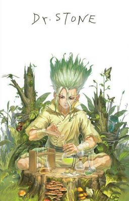 《Dr.Stone》Chào mừng đến với thế giới của đá