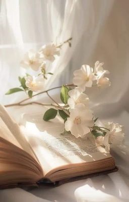 [Drabbles] A little corner of the city.