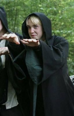Draco Malfoy x oc ~