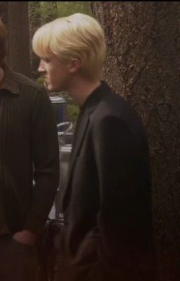 [ draco X y/n ]Bán Thân Cho Thiếu Gia Mafoy