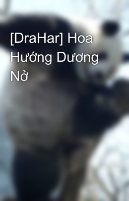 [DraHar] Hoa Hướng Dương Nở