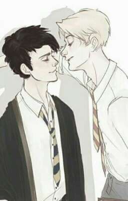 《Drarry》5 lần cố gắng của Malfoy và 1 lần thành công