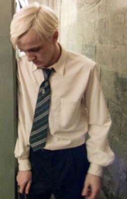 [Drarry/Drahar] Cả thế giới - ABO