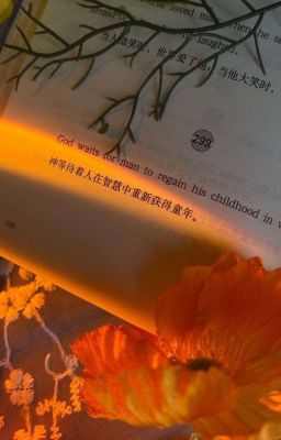 {Drop vô thời hạn}[Allisagi/Blue Lock] Everyday Stories