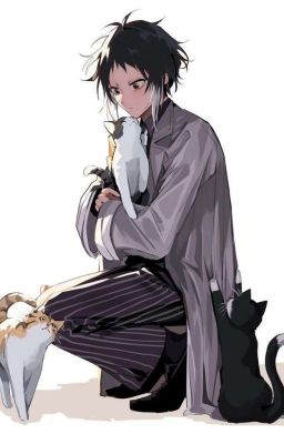 Đương Akutagawa Ryunosuke cos Akutagawa Ryunosuke