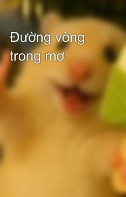 Đường vòng trong mơ