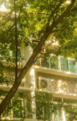 [duongkieu] thanh xuân của tớ may mắn gặp cậu