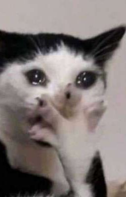 ê thằng kia! fami không cho xương chắc khoẻ? [2huang]