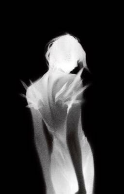echoes of you