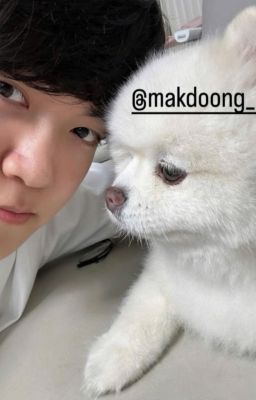 [Edit] [Guria] Ai là kẻ ngốc