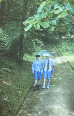 [Edit] [SakuSion] Saku-chan biến thành bò