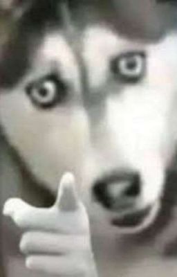 [Edit] Trò Chơi Mang Thai Của Nam Nhân