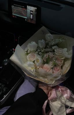 EXSH | những đốm sáng