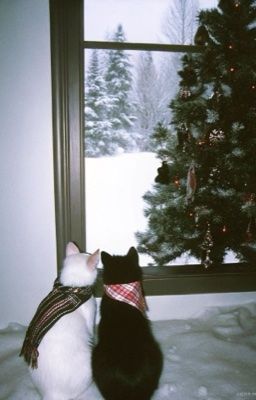 | Faker x you | Đông kiếm em