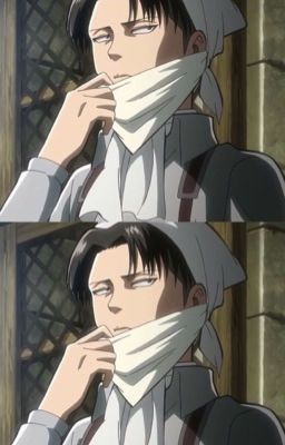 [fan fic Eruri - ABO] Mèo đen ở ngoại ô