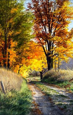 [Fanfic] KHỞI NGUYÊN - NGƯỜI DẪN ĐƯỜNG