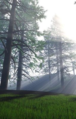 [Fanfic] MỞ CHO NGƯỜI MỘT CON ĐƯỜNG SỐNG, TÔI HỌC ĐƯỢC KINH NGHIỆM ĐƯỜNG ĐỜI