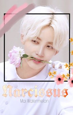 [Fanfic Seventeen] Narcissus
