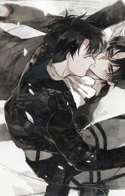 Fanfiction: Vệt Nắng [Levi x Eren]