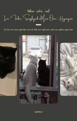 Faon • Bên cửa sổ