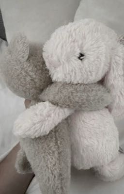 (Faran) Cho phép em theo đuổi anh nhé? [Textfic]