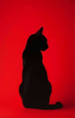 Faran - Linh Miêu Tình Cổ