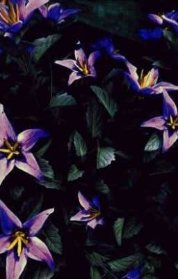 Forsaken Oneshot: Nơi Tôi Thả Tâm Tư Vào Những Con Chữ