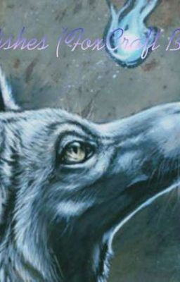 FoxWishes (FoxTrials Book 1) 