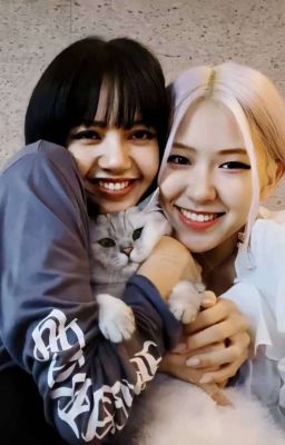 Futa Rosé × Lisa: 