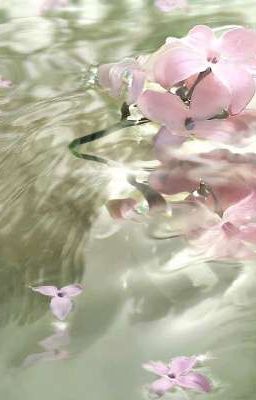 [GACHIAKUTA×OC] 𝖜𝖍𝖊𝖓 𝖙𝖍𝖊 𝖙𝖗𝖚𝖙𝖍 𝖎𝖘 𝖗𝖎𝖌𝖍𝖙 𝖎𝖓 𝖋𝖗𝖔𝖓𝖙 𝖔𝖋 