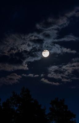 Gấm Vóc Gửi Người