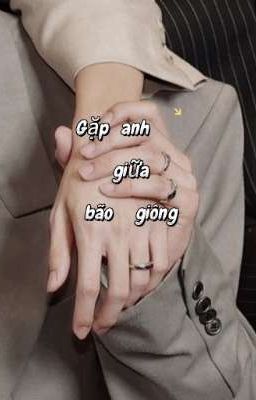 Gặp anh giữa bão giông ( PPw)