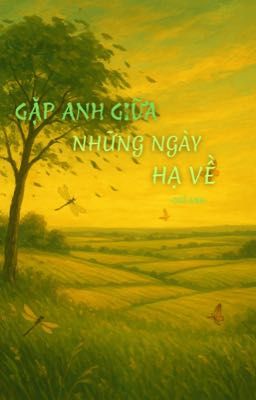 Gặp Anh Giữa Những Ngày Hạ Về