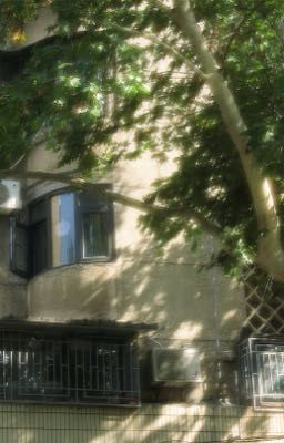 Gặp nhau năm ta tuổi mười lăm .